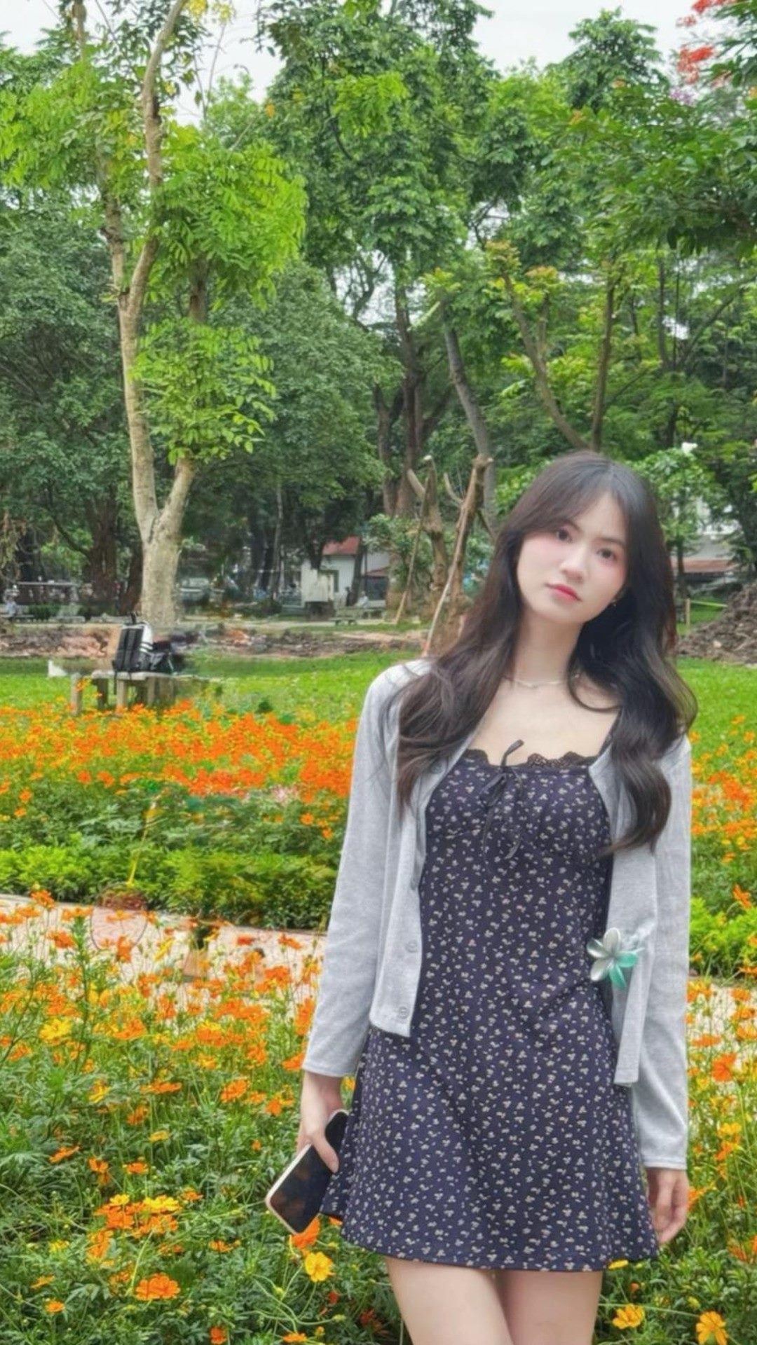 HCOM79517 - ảnh 4